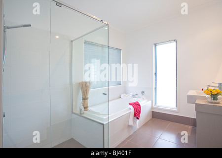 bathroom in modern townhouse Stock Photo