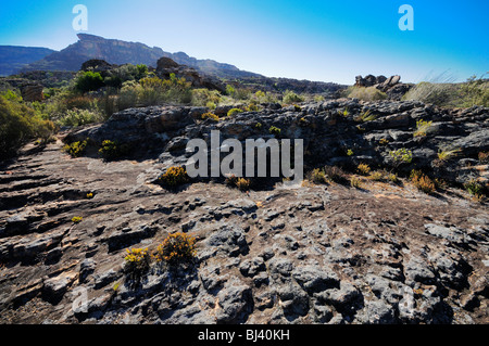 Agter Pakhuis Valley, Cederberg, West Coast, South Africa, Africa Stock Photo