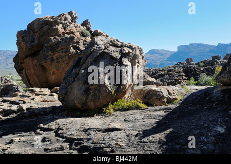 Sandstone cliffs in the Agter Pakhuis Valley, Cederberg, West Coast, South Africa, Africa Stock Photo