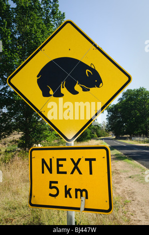 EAGAN PEAKS NATIONAL PARK, Australia — A yellow diamond-shaped road sign featuring the silhouette of a wombat stands prominently along a rural road. The warning sign alerts drivers to the potential presence of wombats in this protected area of native Australian bushland. Stock Photo