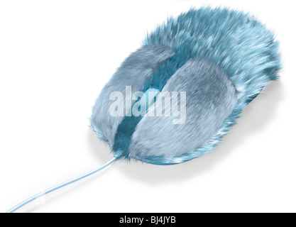 Blue furry computer mouse isolated on white background Stock Photo