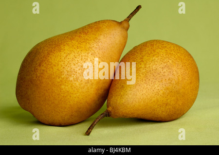 Two pears isolated silhouettes on light green background artistic still-life Stock Photo