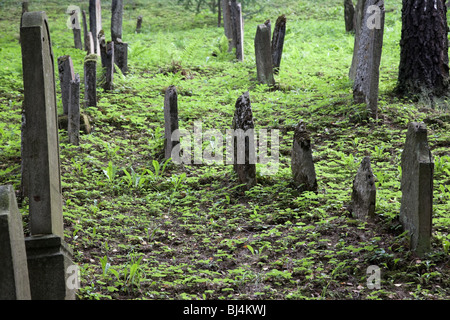Old Jewish cemetery in Trebic (Moravia, Czech Republic). UNESCO heritage. Stock Photo