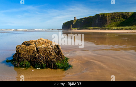 The beach at Downhill looking east towards Mussenden Temple on the clifftop County Londonderry Northern Ireland Stock Photo