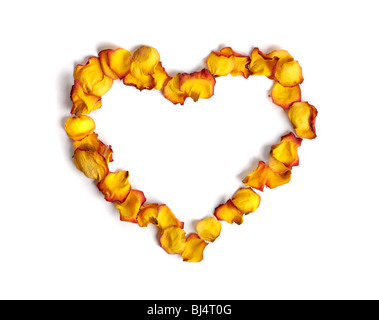 Heart shape made from withered yellow rose petals isolated on white background Conceptual pattern Stock Photo