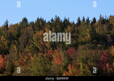 North Carolina NC National Forest Appalachian Mountains Blue Ridge Parkway Pkwy Road Pkwy Haywood County in USA US horizontal hi-res Stock Photo