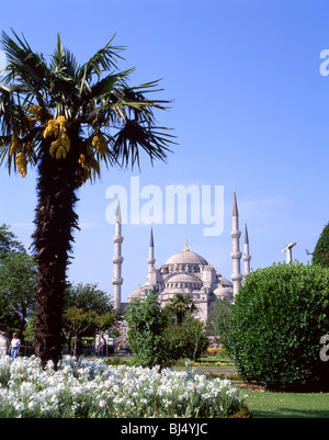 Sultan Ahmet Cami (Blue Mosque) from Sultanahmed Square, Istanbul, Istanbul Province, Republic of Turkey Stock Photo