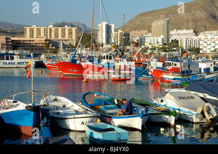 Spain, Canary Islands, Tenerife Los Cristianos, fishing boats in harbour, hotels Stock Photo