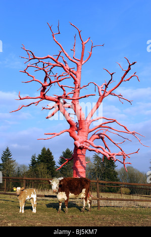 Cow and calf next to a dead tree wrapped and decorated in red cotton by artist Philippa Lawrence Herefordshire England Uk Stock Photo