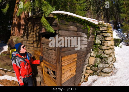 Backcountry skier at Tharp's Log, Giant Forest, Sequoia National Park, California Stock Photo