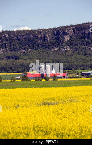 The fertile land along the St. Lawrence River Quebec Canada Stock Photo