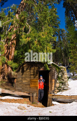 Backcountry skier at Tharp's Log, Giant Forest, Sequoia National Park, California Stock Photo