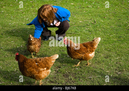 Little girl with red hair feeding a group of chickens Stock Photo