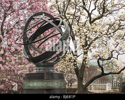 Cherry Tree blossoms Brooklyn Botanic Garden Stock Photo