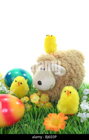 Passover with chicks and Easter eggs on a flower meadow Stock Photo