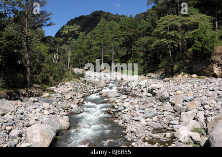 View looking upstream along River Caldera near Boquete, Chiriqui, Panama Stock Photo