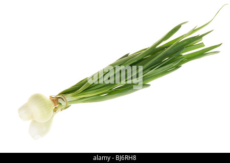 Onion with chive isolated on white background Stock Photo