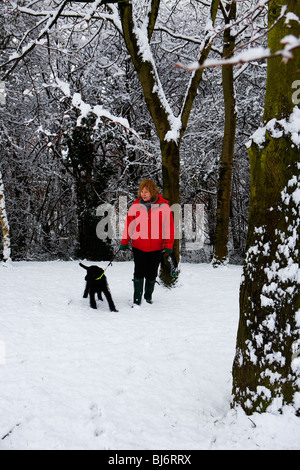 A woman takes her black Labradoodle dog for a walk in the snow through a forest of trees Stock Photo