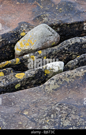 Lichen covered rocks on the beach at Elgol, Isle of Skye, Scotland, UK. Stock Photo