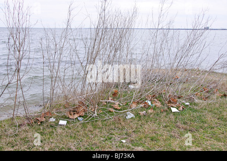 Environmental pollution Stock Photo