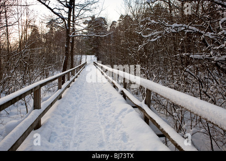 Kottlasjön, Kottla lake, Lidingö (Sweden) Stock Photo