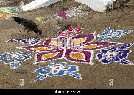 Rangoli festival designs in an Indian street made at the Hindu festival of Sankranthi or Pongal. Stock Photo