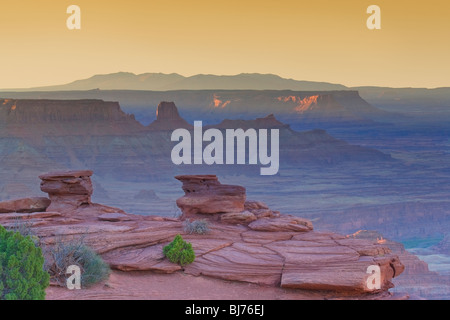 Colorado River Canyon at Dawn, Dead Horse Point State Park, Utah, USA Stock Photo