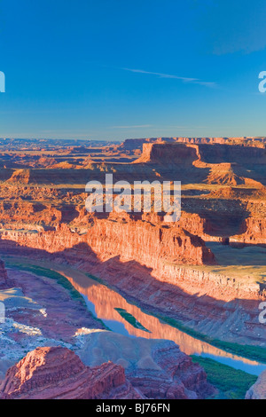 Colorado River at Dawn, Dead Horse Point State Park, Utah, USA Stock Photo