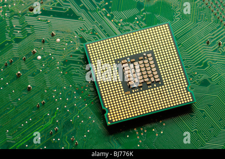 Computer processor on circuit board Stock Photo