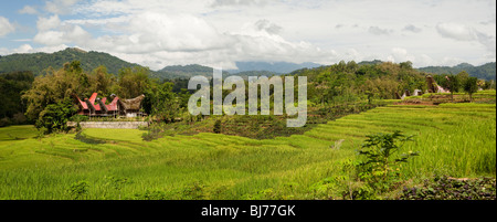 Indonesia, Sulawesi, Tana Toraja, community of traditional Tongkonan houses across cultivated rice fields, panoramic Stock Photo