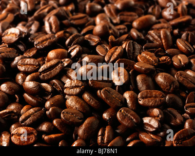 Papua New Guinea fair trade coffee beans stock Photos Stock Photo