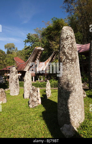 Indonesia, Sulawesi, Tana Toraja, Kalimbuang village, stone megaliths amongst tongkonan houses Stock Photo