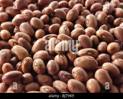 Whole borlotti beans, cranberry bean, Roman bean, romano beans - close up full frame top shot  (Phaseolus vulgaris) Stock Photo