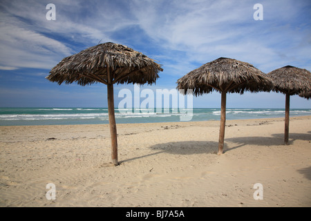 Palm tree parasols on Varadero Beach in Cuba Stock Photo