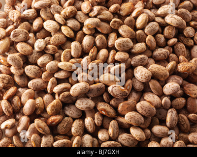 Whole dried red mullet beans, barbunya beans, borlotti beans, cranberry bean, Roman bean, romano beans - close up full frame top shot Stock Photo