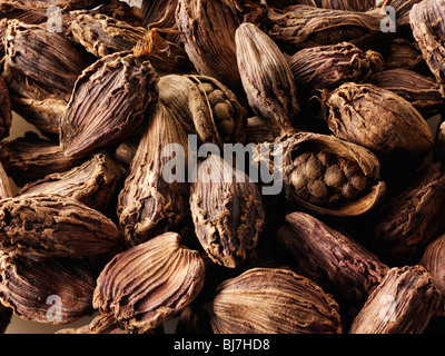 Whole black cardamoms spices, close up full frame Stock Photo