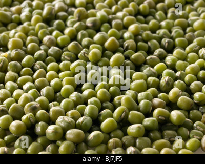 Whole mung beans, or green gram, maash, moong - close up full frame top shot  (Vigna radiata) Stock Photo