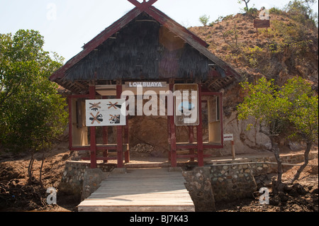 Rinca Island, Komodo National Park, Indonesia Stock Photo