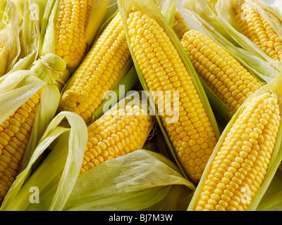 Fresh sweetcorn cobs Stock Photo