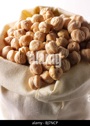 Whole dried chickpea, chick pea, gram or Bengal gram, garbanzo bean, or Egyptian pea  - close up full frame top shot (Cicer arietinum) Stock Photo