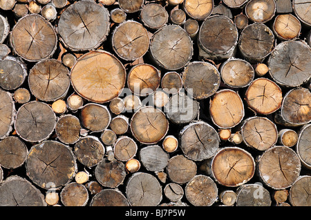 Firewoods stack of round logs for texture or background Stock Photo