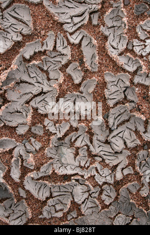 Abstract Cracked Mud On Sand Stock Photo