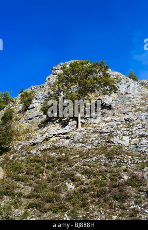 dovedale peak district national park derbyshire staffordshire england uk Stock Photo