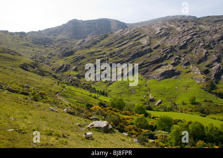 Rock strata on the slopes of Hungry Hill, near Adrigole, Beara Peninsula, County Cork, Ireland Stock Photo