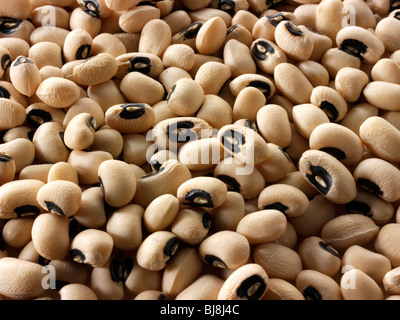 Whole black eyed beans or  black eyed pea- close up full frame top shot Stock Photo