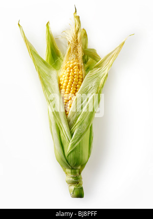 Fresh sweetcorn cobs Stock Photo