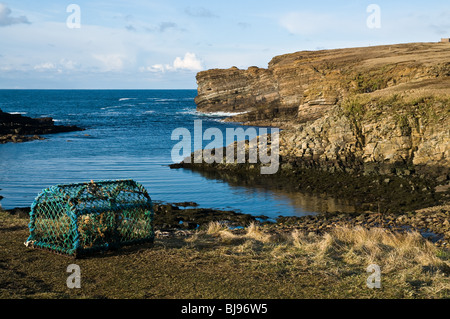 dh  YESNABY ORKNEY Lobster crab creel on shore cliff above bay stoney beach Stock Photo