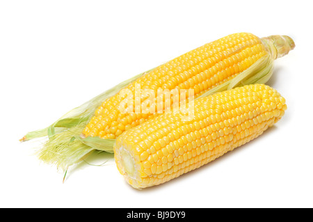 Pair of corn cob isolated on white Stock Photo