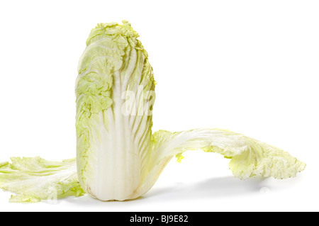 Chinese cabbage on white background Stock Photo