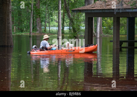 kayaker paddles through flooded picnic pavilion along Florida's Santa Fe River a tributary of the Suwannee River North Florida Stock Photo